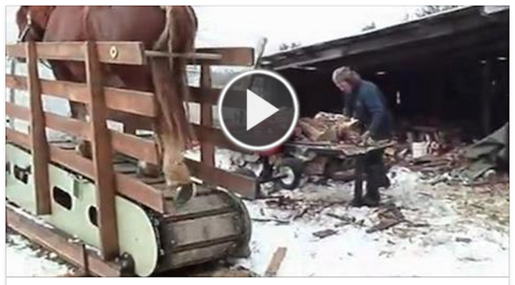 Horse Powered Treadmill Log Splitter 